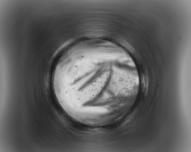 X0000086290396200704201927
