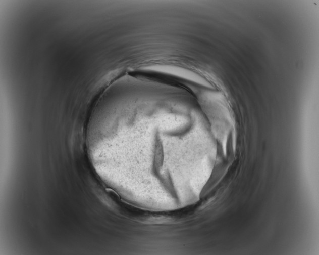 X0000086290397200704201927