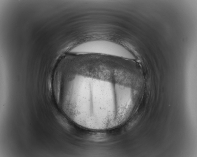 X0000086290398200704201927