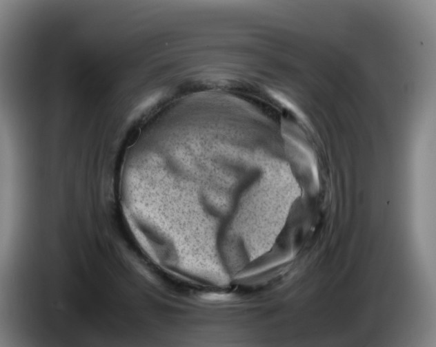 X0000086290399200704201927