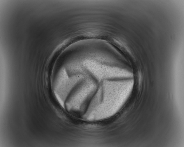 X0000086290400200704201927