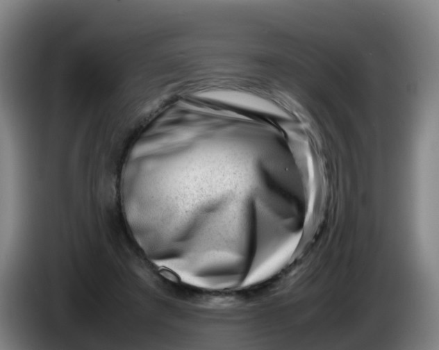 X0000086290401200704201927