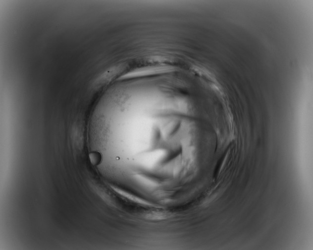 X0000086290402200704201927