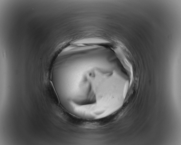 X0000086290403200704201927