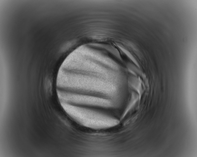 X0000086290404200704201927