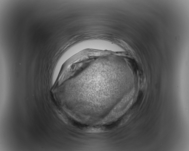 X0000086290405200704201927