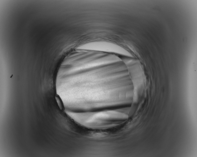 X0000086290407200704201927