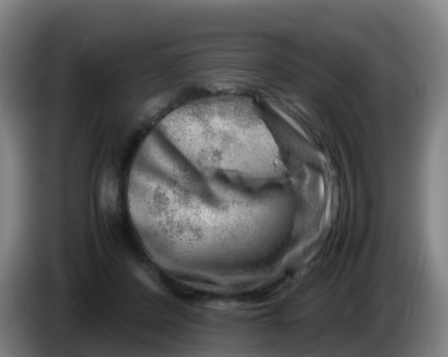 X0000086290408200704201927