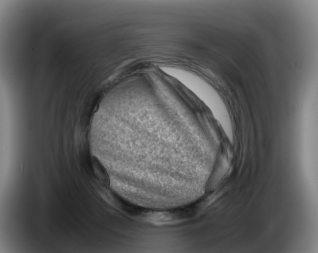 X0000086290409200704201927