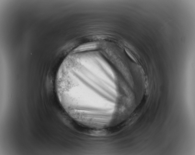 X0000086290410200704201927