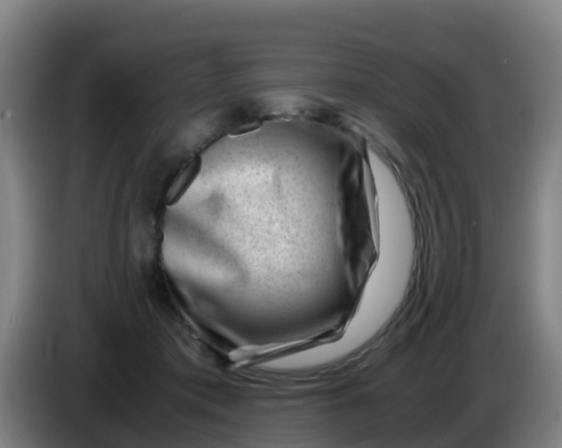 X0000086290413200704201927