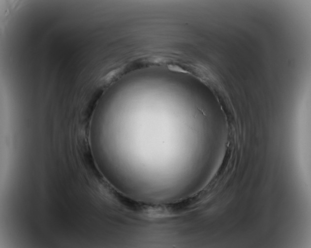 X0000086290415200704201927