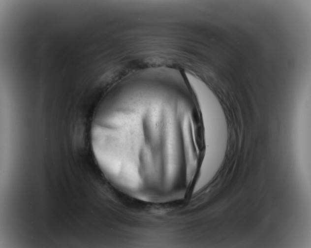 X0000086290416200704201927
