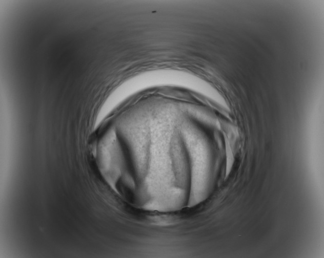 X0000086290417200704201927