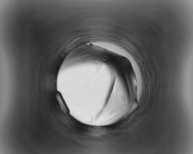 X0000086290421200704201927