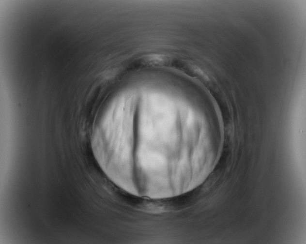 X0000086290423200704201927