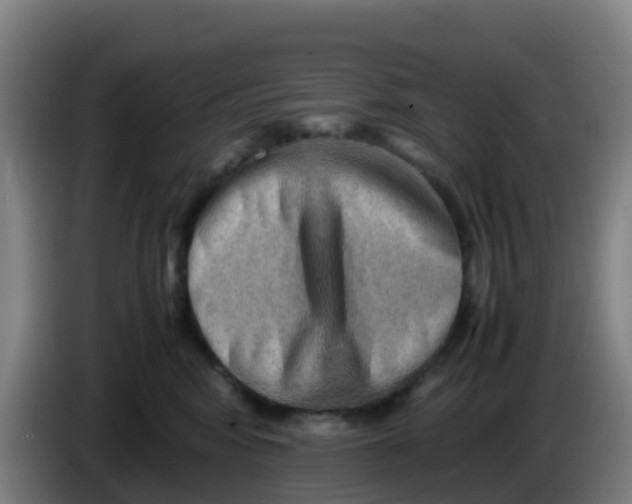 X0000086290424200704201927