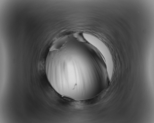 X0000086290425200704201927