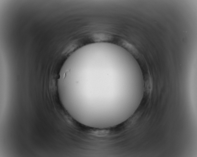 X0000086290426200704201927
