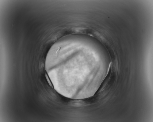 X0000086290427200704201926