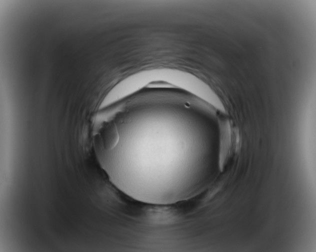 X0000086290428200704201926
