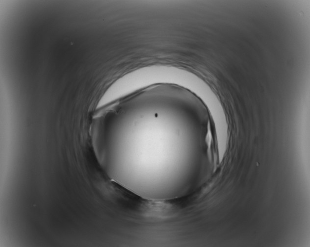 X0000086290429200704201926