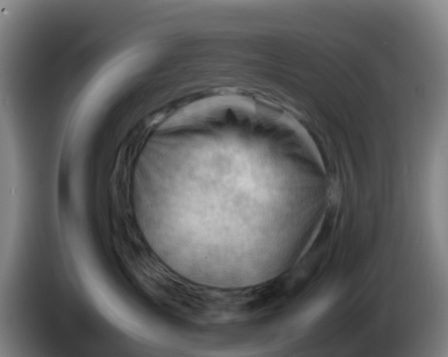 X0000086290431200704201926