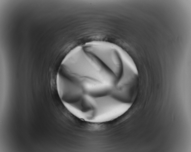 X0000086290432200704201926