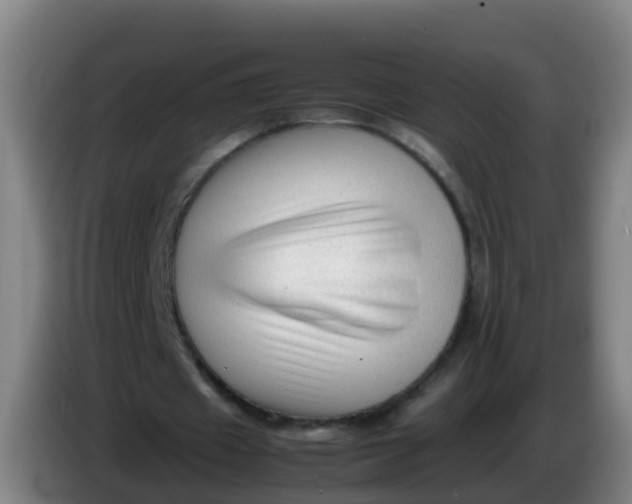 X0000086290433200704201926