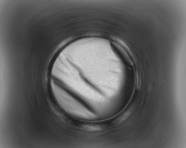 X0000086290435200704201926