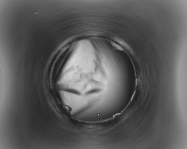 X0000086290436200704201926