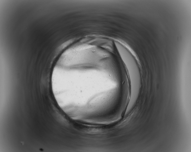 X0000086290437200704201926