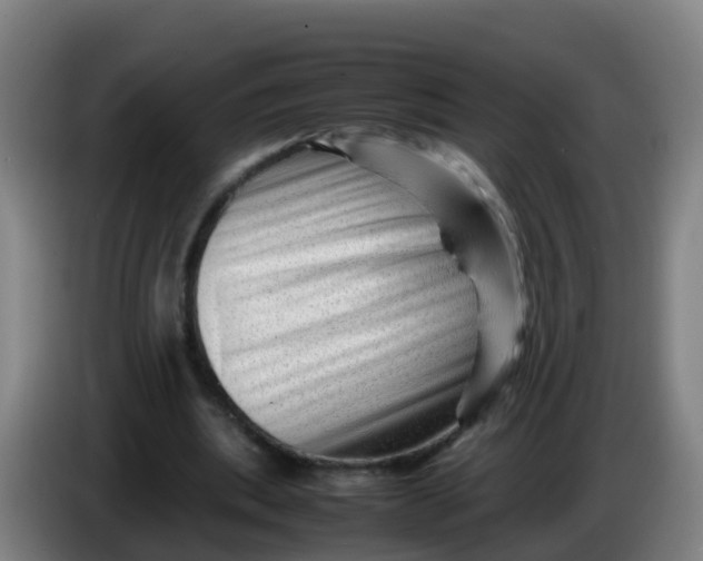 X0000086290439200704201926