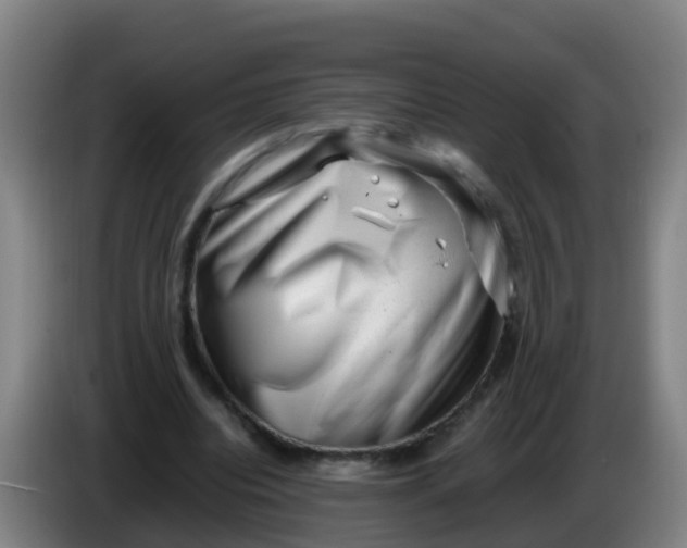 X0000086290440200704201926