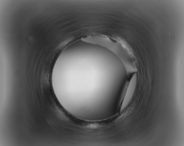 X0000086290441200704201926