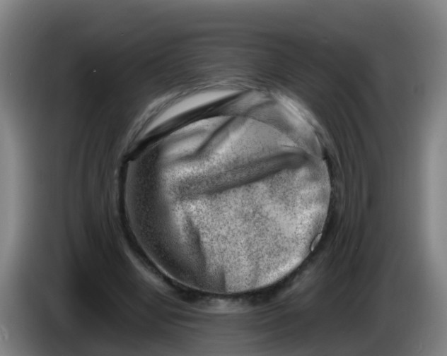 X0000086290442200704201926
