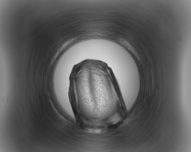 X0000086290444200704201926