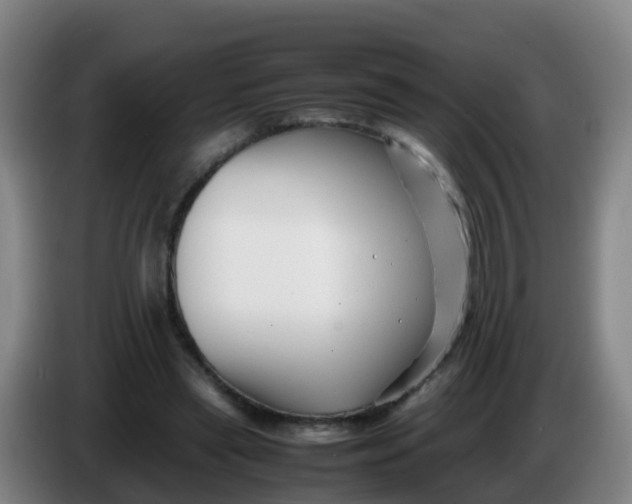 X0000086290445200704201926