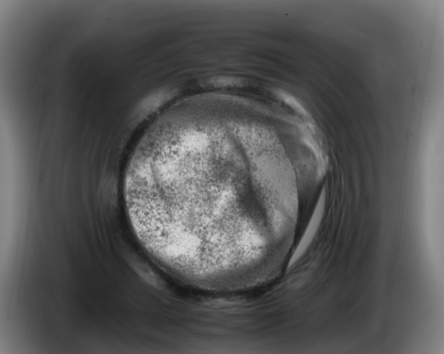 X0000086290447200704201926