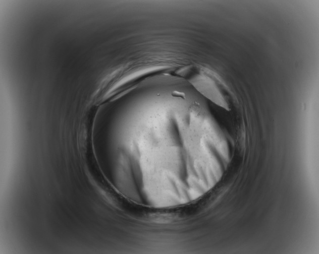 X0000086290448200704201926