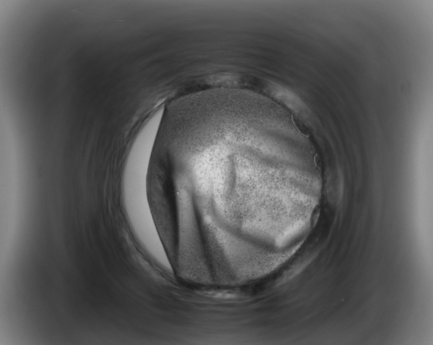 X0000086290449200704201926