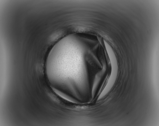 X0000086290450200704201926