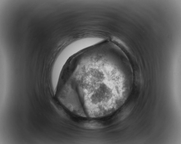 X0000086290451200704201926
