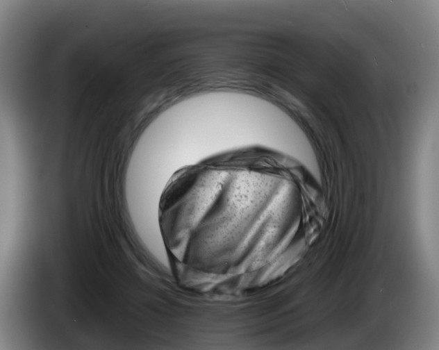 X0000086290452200704201926