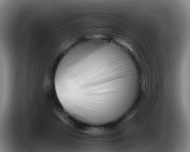 X0000086290455200704201926