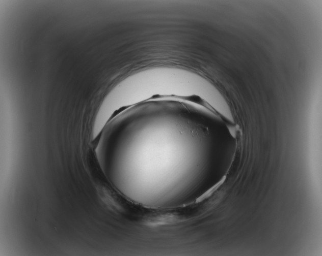 X0000086290456200704201926