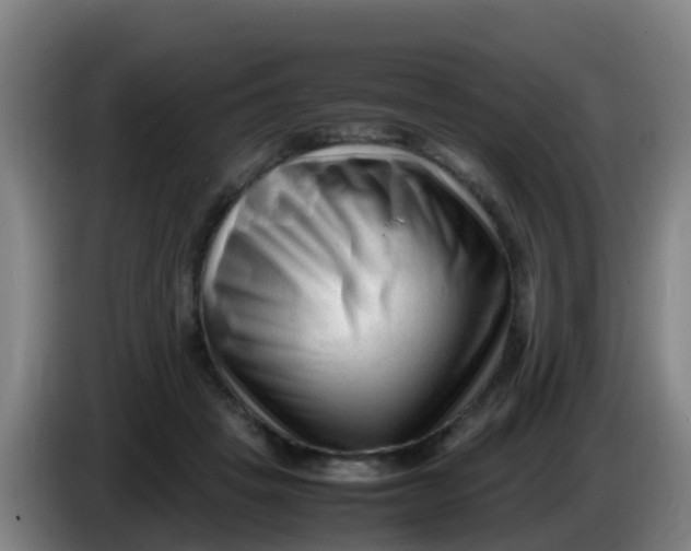X0000086290457200704201926