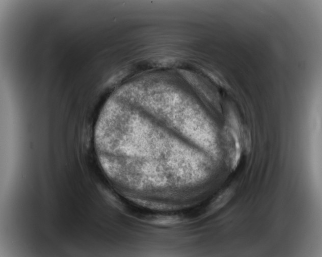 X0000086290458200704201926