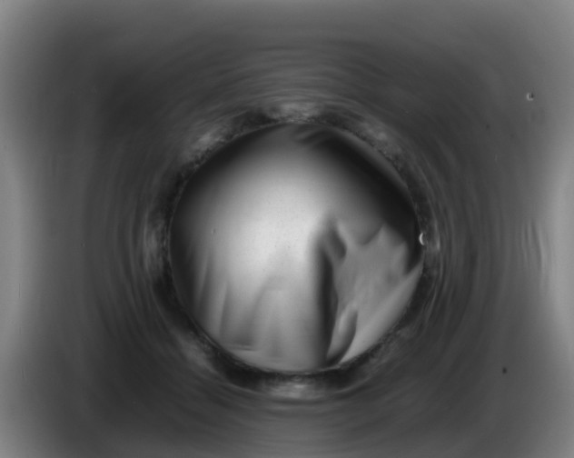 X0000086290460200704201926