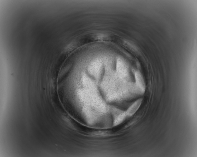 X0000086290461200704201926